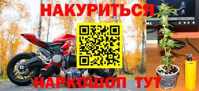 шишки Ликино-Дулёво
